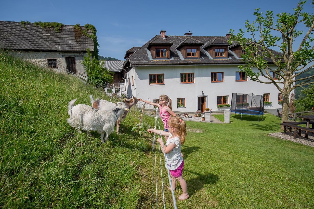Kraeuterhof Miesrigl Vila Losenstein Exterior foto